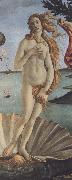 Sandro Botticelli The Birth of Venus (mk36) oil painting picture wholesale